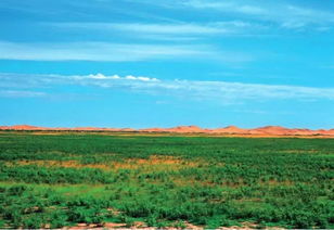 美麗中國先鋒榜 18 內蒙古杭錦旗庫布其沙漠治理創(chuàng)新實踐