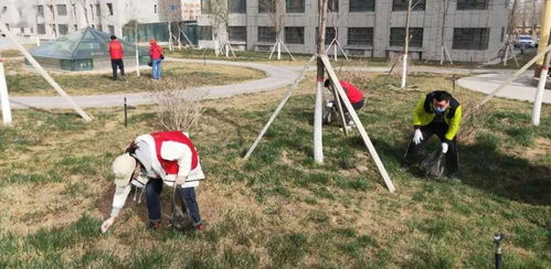 東城街道馬家坪社區 “雙報到”黨員先鋒行，攜手共建美麗家園